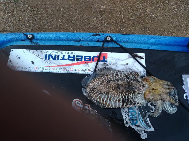 Fish Measure Picture